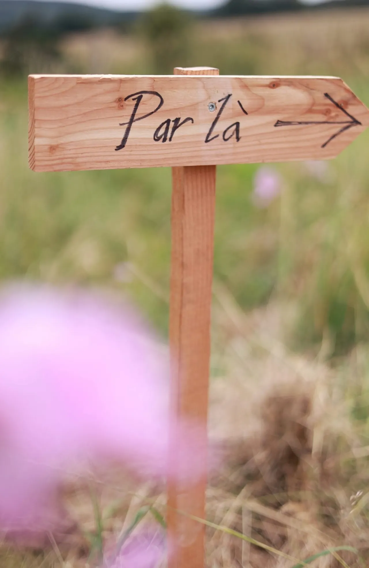 Un panneau en bois « Par là » dans les herbes